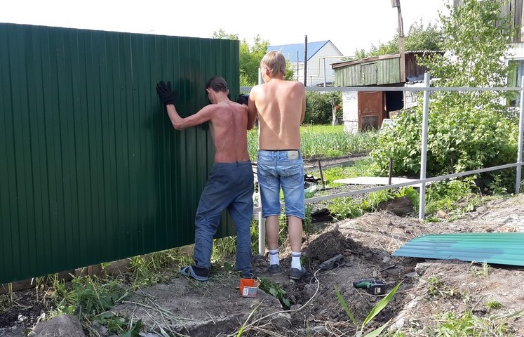 Профнастил для забора***Профнастил для паркану