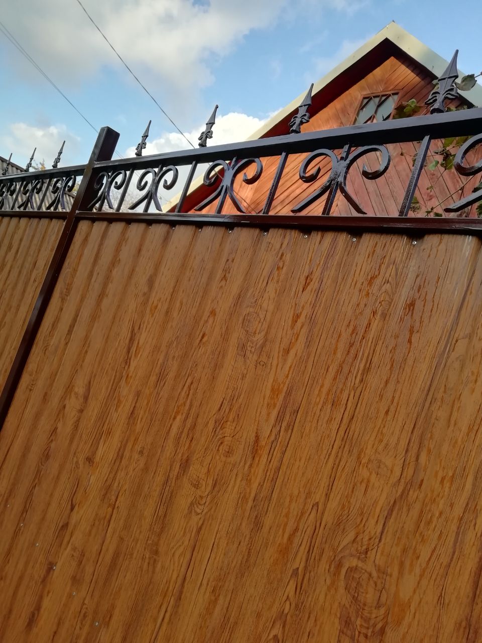 Забор из профнастила с ковкой.
